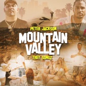 Mountain Valley artwork