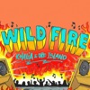 Wild Fire - Single