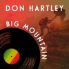 Big Mountain - Single