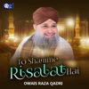 Tu Shamm e Risalat Hai