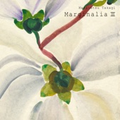 Marginalia #59 by Masakatsu Takagi
