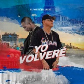 YO VOLVERÉ artwork