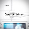 Now or Never - Single