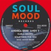 Something for You (Soul Mood Remix) - Single
