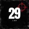 29 - Single
