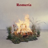 Romería Origen (Bambera Fandango) [Remix] artwork