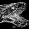 Moray - Shark Breath Shennong lyrics