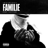 Familie (feat. Aaliyah) artwork