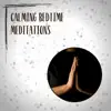 Calming Bedtime Meditations album lyrics, reviews, download