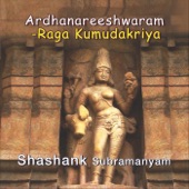 Ardhanareeshwaram artwork