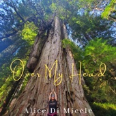 Alice Di Micele - Over My Head