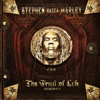 Ghetto Boy (feat. Bounty Killer & Cobra) by Stephen Marley song reviws