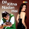 Dil Kitna Nadan Hai (Original Motion Picture Soundtrack)