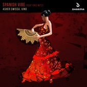 Spanish Vibe (feat. Erez Netz) artwork