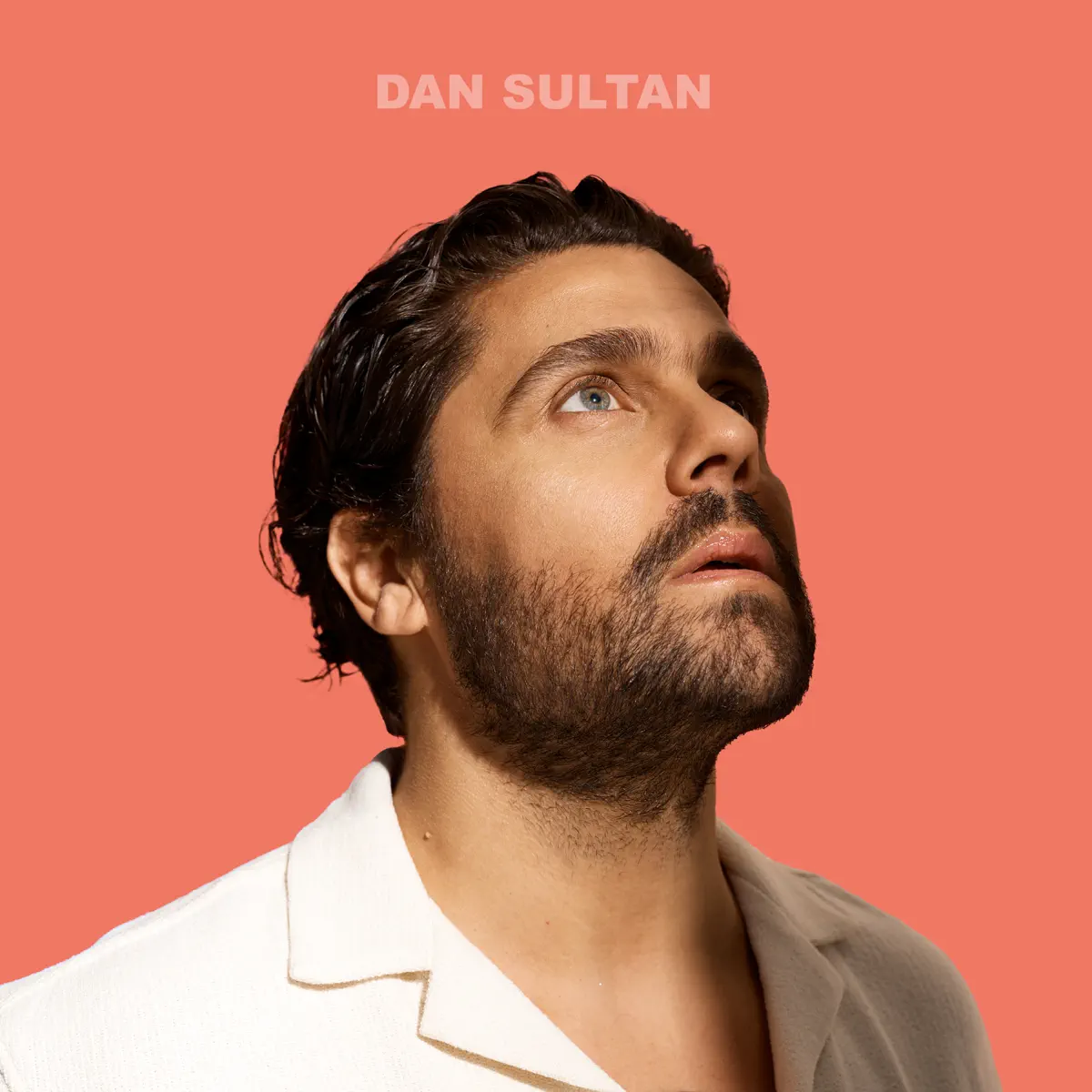 Dan Sultan - Dan Sultan (2023) [iTunes Plus AAC M4A]-新房子