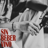 Sin beber vino (feat. David Zamora) artwork