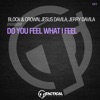 Do You Feel What I Feel - Single