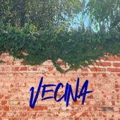 Vecina artwork