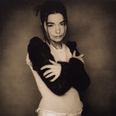 Human Behaviour by Björk