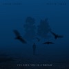 I've Seen You In a Dream - Single