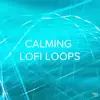 !!!" Calming Lofi Loops "!!! album lyrics, reviews, download