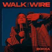 Walk On a Wire artwork