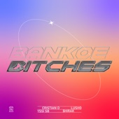 Bankoe Bitches (feat. $hirak) artwork