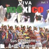 Viva México: Sus Canciones y Bailes Regionales, Vol. 1
