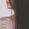 Si Nun Me Vase - Single