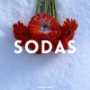 Sodas - Single