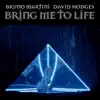 Bring Me To Life - Single album lyrics, reviews, download