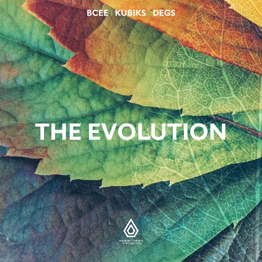 The Evolution - Single by Degs, BCee, Kubiks