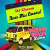 Never Miss Carnival - Single album lyrics, reviews, download