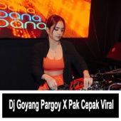 Dj Goyang Pargoy X Pak Cepak Viral artwork