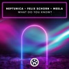 MEELA - What Do You Know?