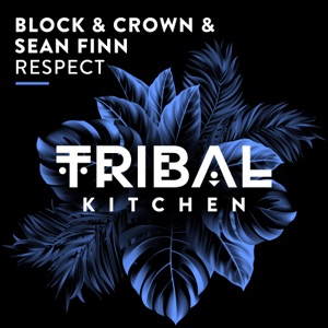 Block & Crown & Sean Finn - Respect - 排舞 音乐