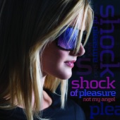 Shock of Pleasure - Mystery Loves Company - Radio Edit