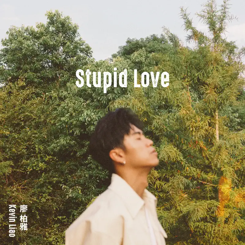 廖柏雅 - Stupid Love - Single (2023) [iTunes Plus AAC M4A]-新房子