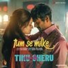 Tum Se Milke (From "Tiku Weds Sheru") - Single