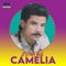 Camelia - Jotha Rg lyrics