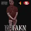 NO FAKN (feat. FLOATY BEATS #2023 #HIPHOPDAILY) - Single album lyrics, reviews, download