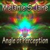Angle of Perception