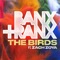 The Birds (feat. Zach Zoya) - Banx & Ranx lyrics