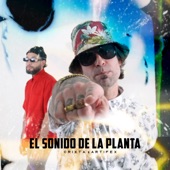 El Sonido De La Planta