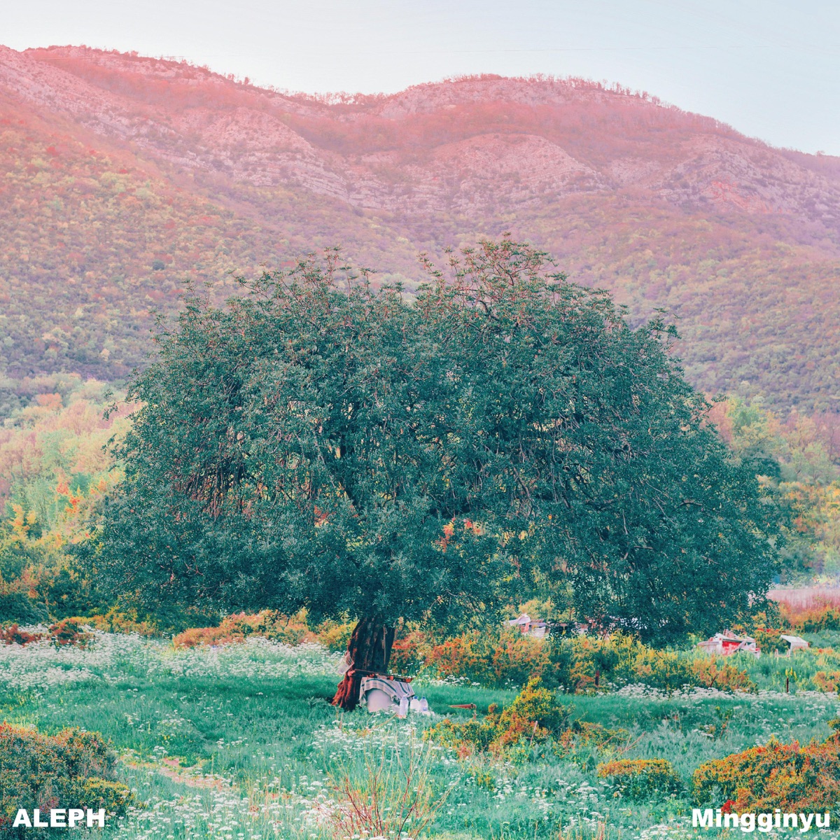 Aleph, Mingginyu – nevertheless – Single