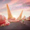Padawan - Single album lyrics, reviews, download