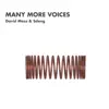 Many More Voices album lyrics, reviews, download