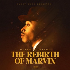 THE REBIRTH OF MARVIN cover art