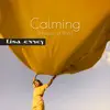 Calming Whispers of Wind album lyrics, reviews, download