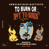 To Burn or Not to Burn (Marco Andreol & Renato Patriarca Remix) artwork